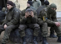 Выяснилось, как российские бойцы перехитрили боевиков ВСУ в боях за Терноватое в Запорожье