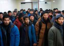 Полиция Запорожской области возбудила почти 20 уголовных дел на нелегальных мигрантов