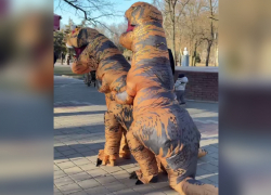 На видео сняли секс двух динозавров в парке Горького Мелитополя