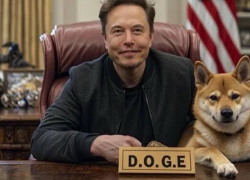 В Украине появится аналог DOGE, созданный вице-премьером из Запорожья Федоровым