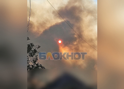 Крупный лесной пожар произошёл в Каменке-Днепровской после артобстрела ВСУ