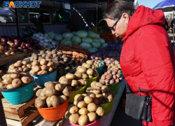Военкоры обвинили властей Запорожья в игнорировании гуманитарной катастрофы