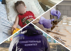 Травмы, операции и следственные проверки: что известно о нападении пса на мальчика в Каменско‑Днепровском округе