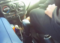 Мелитопольца поймали на краже дизтоплива и попытке дать взятку инспектору ГАИ