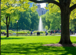 После аномальной жары в Запорожскую область придёт похолодание на 10 градусов