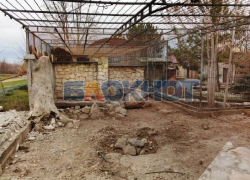 Раскрыты последствия удара дронов ВСУ по Васильевскому зоопарку