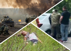 Новости Запорожья: маньячка из Бердянска, пленные офицеры НАТО и похищение людей