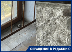 «Трупы мышей и кучи тараканов»: жители Днепрорудного пожаловались на ЖКУ