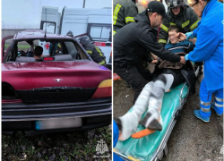 Легковушка влетела в дерево в Бердянске: пострадали четыре человека