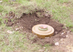 Полицейские нашли противотанковую мину в Запорожской области