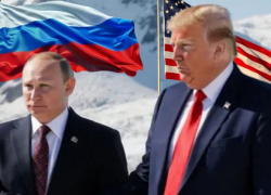 Путин ввёл ограниченное прекращение огня в воздухе и на море в Запорожье перед встречей с Трампом