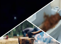 Новости Запорожья: мужчина зарубил отца топором, пришествие НЛО и фекальные рисунки