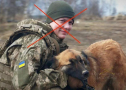 "Валькирию Зеленского" из Кировоградской области уничтожили на Запорожском фронте СВО