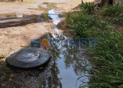 Залитый фекалиями двор показали жильцы в центре Мелитополя