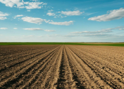 Топ регионов с самыми дешёвыми землями под сады и огороды возглавило Запорожье