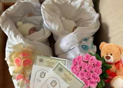 Первая в 2025 году королевская двойня родилась в прифронтовой Каменке-Днепровской 