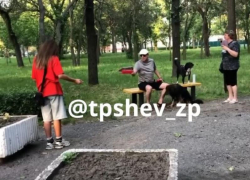 «Вы совсем охренели?»: дерзкая реакция на замечание собаководу попала на видео в Запорожье