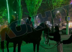 Необычный вид досуга организовали на месте смертельного ДТП с Лизой Мелиховой в Мелитополе