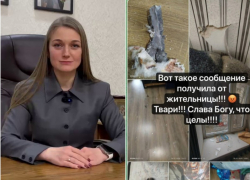 «Осколок летел в неё, когда учила уроки»: раскрыты детали артобстрела дома в Васильевке