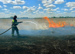 Около 12 гектаров сухой травы сгорело в Запорожской области за сутки