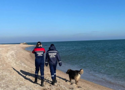 В Бердянске проводят ежедневный мониторинг местных пляжей