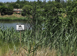 В прифронтовых районах Запорожской области запретили купание на местных пляжах