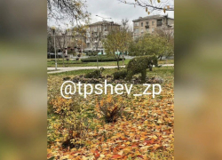 Необычная фигура из кустов украсила парк Запорожья