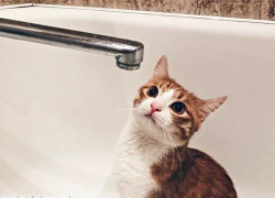 Из-за аварии на водоводе Мелитополь останется без воды 15 октября 