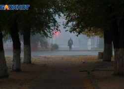 «Ядовитый» полигон, брошенный украинцами, ликвидируют в Бердянске 