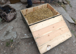 Полицейские нашли у жителя Токмакского района почти 3 тысячи боеприпасов 