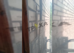 Забравшаяся на балкон третьего этажа змея вызвала истерику у запорожцев