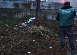 Экологи «предъявили» чиновникам за две новые свалки в Запорожье