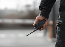 В Запорожской области сотрудники ГАИ проведут рейд по нарушениям ПДД на пешеходных переходах