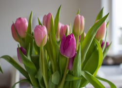 Стало известно, как запорожцы будут отдыхать на 8 Марта