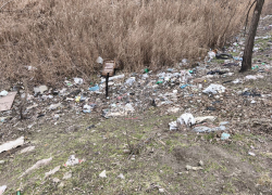Экологи потребовали у запорожских властей убрать свалку на берегу реки