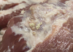 Мясо с паразитами купили запорожцы в одном из местных ТЦ 