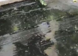 Мазутный залив в одном из дворов Мелитополя показали на видео