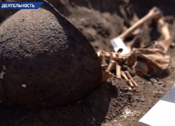 Следователи нашли останки красноармейцев в Запорожской области