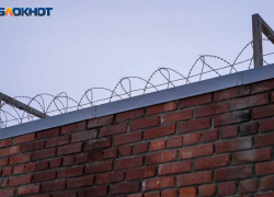 В Михайловке осудили 22-летнего парня за хранение конопли