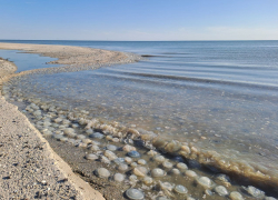 Власти Запорожской области отказались вводить туристический налог