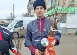 В Запорожской области казаки подарили семьям участников СВО плодовые деревья