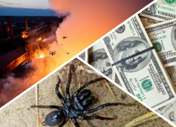 Новости Запорожья: 40 млрд на восстановление, убийство россиян снарядами НАТО и атака пауков