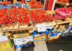 Стали известны цены на клубнику в Бердянске