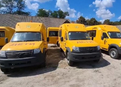 Десять новых автобусов будут развозить детей по школам в Запорожской области 