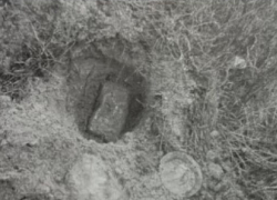 Энергодаровец проведёт 6 лет в колонии за хранение самодельной бомбы