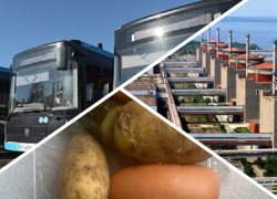 Новости Запорожья: вторую ЛЭП восстановят на ЗАЭС, обед для раненых и новые автобусы