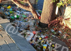 Запорожцы пристыдили жителей за свалку окурков и бутылок у автовокзала 