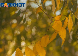 Стало известно, когда отменят особый противопожарный режим в Запорожской области