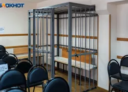 За фейки о ВС РФ и оправдание терроризма осудили жителя Васильевского района