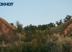 Режим чрезвычайной пожароопасности продлили в Запорожской области